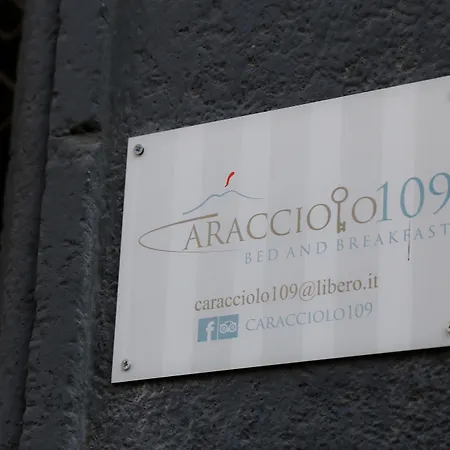 Caracciolo 109 Frühstückspension 4*